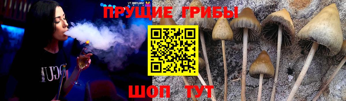 Псилоцибиновые грибы мицелий Александров